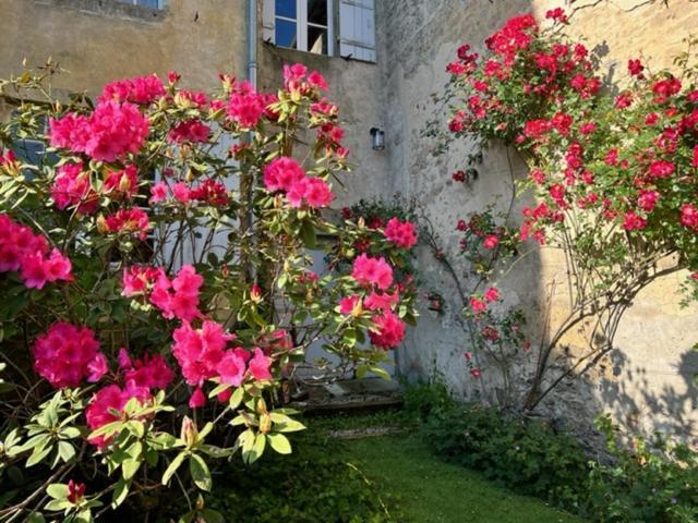 Le Clos De La Cathedrale Bazas Exterior foto